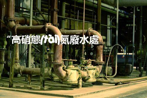 “高硝態(tài)氮廢水處理，綠色環(huán)保新篇章”